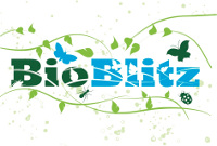 BioBlitz!