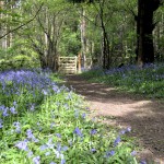 Path from the lower car park