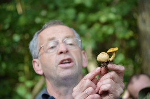 Dave Champion talking about Pseudoboletus parasiticus