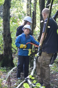 Hard at work coppicing