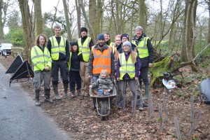 The hedge planting crew